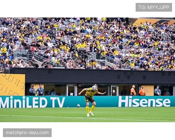 德甲豪门中场重组完成，战术革新引球迷期待