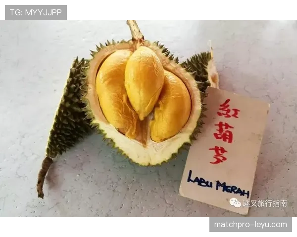 浓眉哥家里请了三个厨师就为了让他每天吃不一样的有机餐 浓眉哥家里请了三个厨师就为了让他每天吃不一样的有机餐